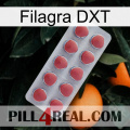 Filagra DXT 18